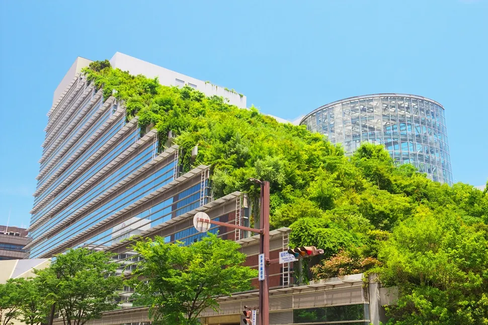 Modern building covered in green planting