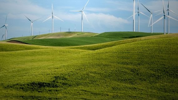 Green landscape with wind turbines